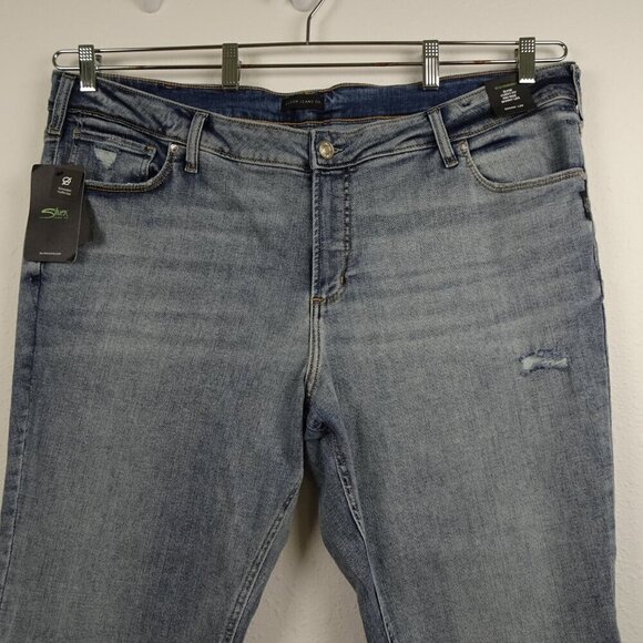 Silver Jeans Elyse Skinny Leg Women's Plus Size 24 Blue Denim Stretch Distressed - Picture 2 of 12